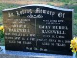 image of grave number 922666